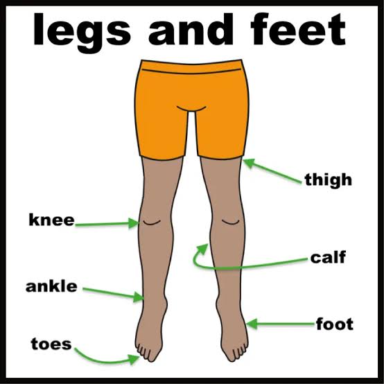 Lower Extremities