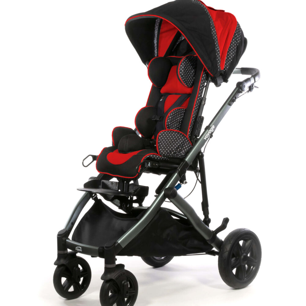 Adaptive Strollers