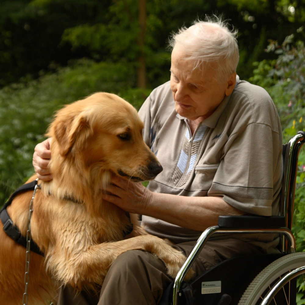 Wheelchairs - Standard